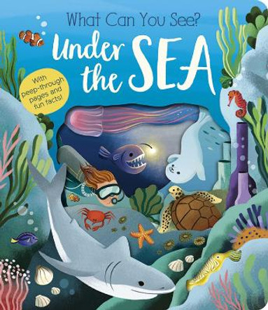 What Can You See? Under the Sea by Molly Littleboy 9781801045551