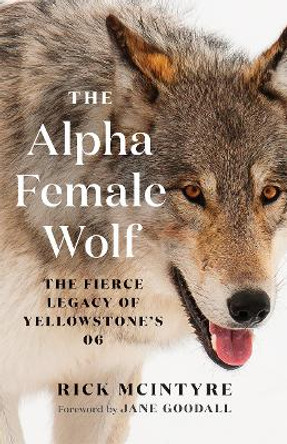 The Alpha Female Wolf: The Fierce Legacy of Yellowstone's 06 by Rick McIntyre 9781778401770