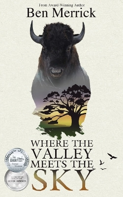 Where the Valley Meets the Sky by Ben Merrick 9781737122616