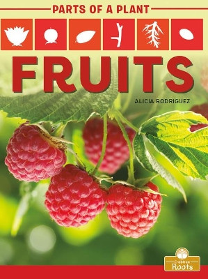 Fruits by Alicia Rodriguez 9781427140654