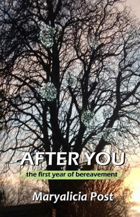 After You: A Journey through the First Year of Bereavement by Maryalicia Post 9788182537217
