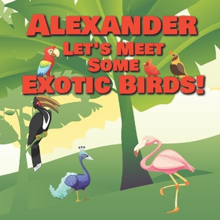 Alexander Let's Meet Some Exotic Birds!: Personalized Kids Books with Name - Tropical & Rainforest Birds for Children Ages 1-3 by Chilkibo Publishing 9798559278278