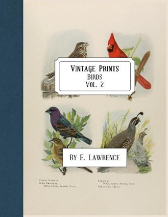 Vintage Prints: Birds: Vol. 2 by E Lawrence 9781987797343