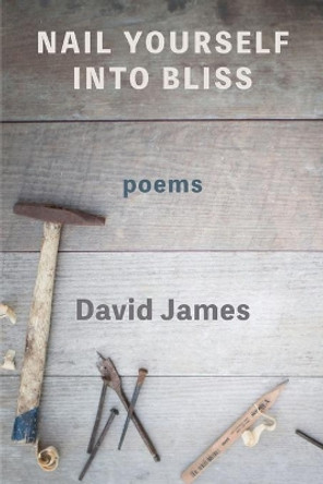Nail Yourself Into Bliss by David James 9781950462391