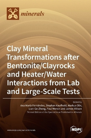 Clay Mineral Transformations after Bentonite/Clayrocks and Heater/Water Interactions from Lab and Large-Scale Tests by Ana Marıa Fernandez 9783036544304