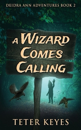 A Wizard Comes Calling by Teter Keyes 9784824155634