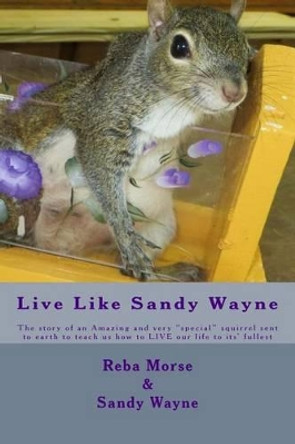 Live Like Sandy Wayne: The story of an Amazing and very &quot;special&quot; squirrel sent to earth to teach us how to LIVE our life to its' fullest by Reba Jo Morse 9781522877929