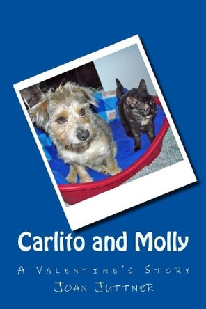 Carlito and Molly: A Valentine's Story by Fred and Baerbel Juttner 9781482504170