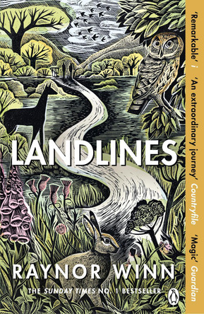 Landlines: The remarkable story of a thousand-mile journey across Britain from the million-copy bestselling author of The Salt Path by Raynor Winn