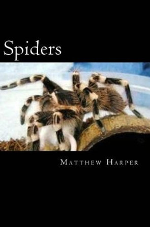 Spiders: A Fascinating Book Containing Spider Facts, Trivia, Images & Memory Recall Quiz: Suitable for Adults & Children by Matthew Harper 9781499722482