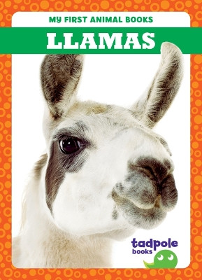 Llamas by Marie Brandle 9798885246705