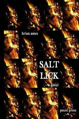 Salt Lick by Brian Ames 9781929763290