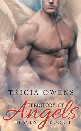 Territory of Angels (A: R Heaven 1) by Tricia Owens 9781530320035