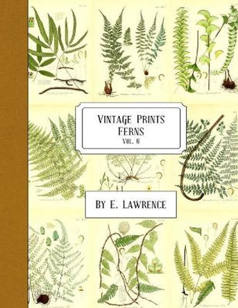 Vintage Prints: Ferns: Vol. 6 by E Lawrence 9781987710069
