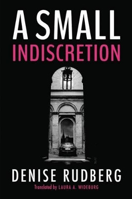A Small Indiscretion Denise Rudberg 9781477817698