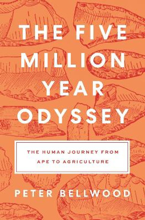 The Five-Million-Year Odyssey: The Human Journey from Ape to Agriculture by Peter Bellwood 9780691258812