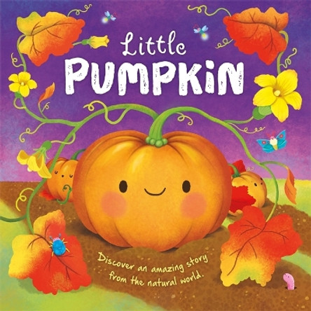 Little Pumpkin by Autumn Publishing 9781803686462