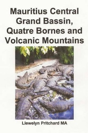 Mauritius Central Grand Bassin, Quatre Bornes and Volcanic Mountains: Swfinir Casgliad O Lliw Ffotograffau Gyda Phenawdau by Llewelyn Pritchard Ma 9781496140807