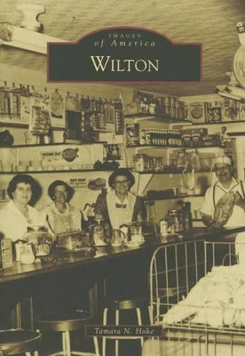 Wilton by Tamara N Hoke 9781467122443