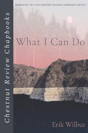 What I Can Do by Erik Wilbur 9798691115134