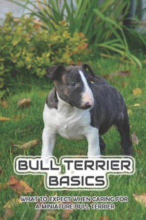 Bull Terrier Basics: What To Expect When Caring For A Miniature Bull Terrier: How To Train A Bull Terrier To Walk On A Leash by Quentin Alcini 9798452024453