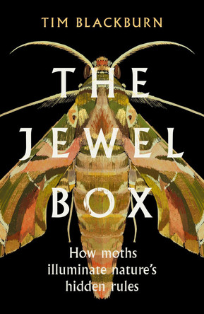 The Jewel Box: How Moths Illuminate Nature’s Hidden Rules by Tim Blackburn