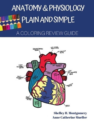 Anatomy & Physiology Plain and Simple: A Coloring Review Guide by Shelley H Montgomery 9781734167108