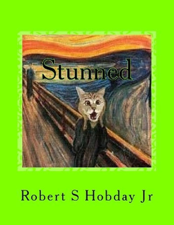 Stunned: A Collection of Stunned Cats by Robert S Hobday Jr 9781548190095