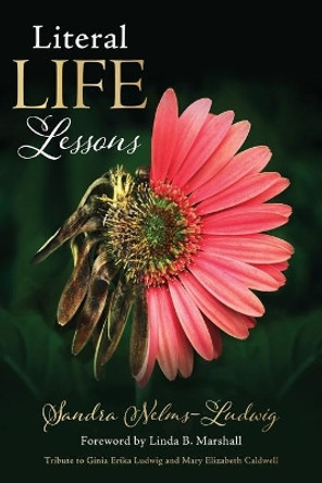 Literal LIFE Lessons by Sandra Nelms-Ludwig 9781662821554