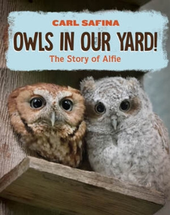 Owls in Our Yard!: The Story of Alfie by Carl Safina 9781324053194