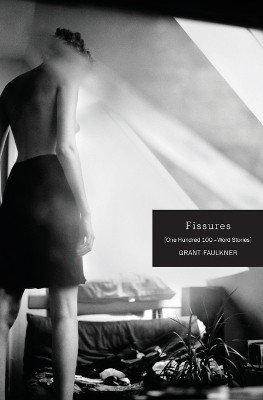 Fissures: One Hundred 100-Word Stories by Grant Faulkner 9781941209202