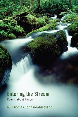 Entering the Stream by N Thomas Johnson-Medland 9781610971393