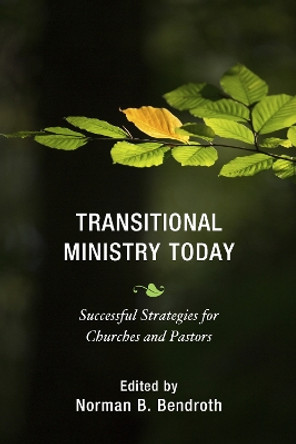 Transitional Ministry Today: Successful Strategies for Churches and Pastors by Norman B. Bendroth 9781566997669