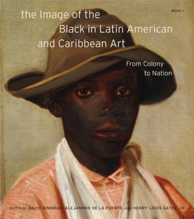 The Image of the Black in Latin American and Caribbean Art: Book 1 by David Bindman 9780674248861