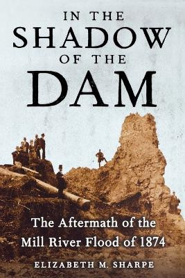 In the Shadow of the Dam, The Aftermath of the Mill River Flood of 1874 by Elizabeth M. Sharpe 9781416572640