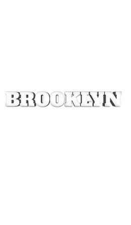 Brooklyn New York Creative Journal by Michael Huhn 9780464425878