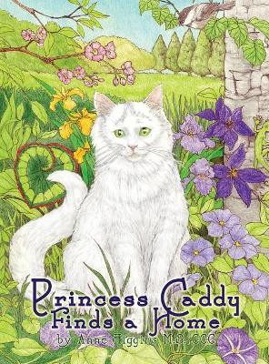 Princess Caddy Finds a Home by Anne Higgins M S CCC 9781480948532