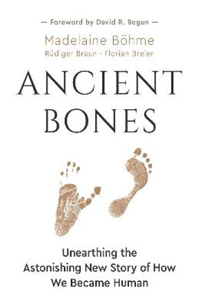 Ancient Bones: Unearthing the Astonishing New Story of How We Became Human by Madelaine Boehme