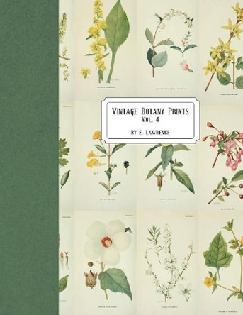 Vintage Botany Prints: Vol. 4 by E Lawrence 9781721830855