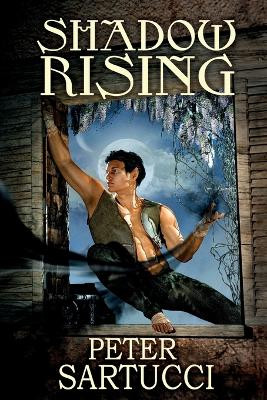 Shadow Rising: Sequel to 'Shadow and Light' by Peter Sartucci 9781733574518