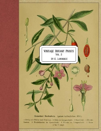 Vintage Botany Prints: Vol. 2 by E Lawrence 9781721037117