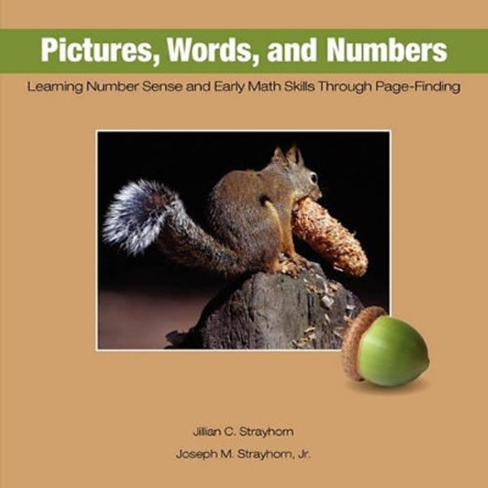 Pictures, Words, and Numbers: Learning Number Sense and Early Math Skills Through Page-Finding by Jillian C Strayhorn 9781931773157