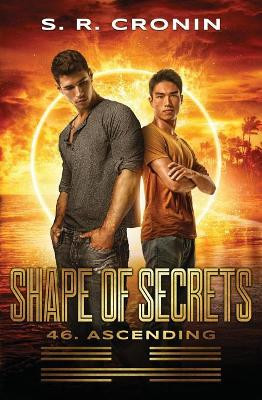 Shape of Secrets by S R Cronin 9781941283271