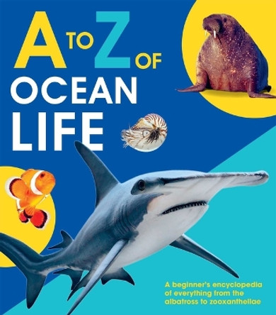To Z of Ocean Life by Editors of Quarto Books 9781645172864