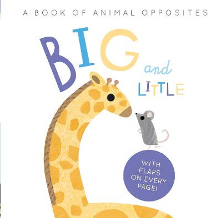 Big and Little: A Book of Animal Opposites by Harriet Evans
