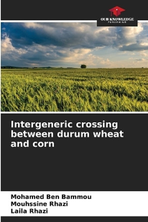 Intergeneric crossing between durum wheat and corn by Mohamed Ben Bammou 9786205958339