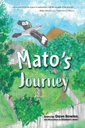 Mato's Journey by Dave Bowles 9781953021991