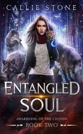 Entangled Soul: A Rejected Mates Shifter Romance by Callie Stone 9798824742442