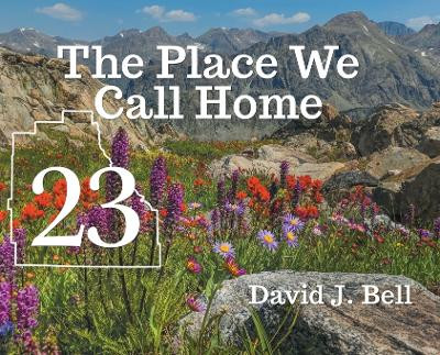 23: The Place We Call Home by Dave Bell 9781662937217