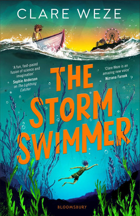 The Storm Swimmer by Clare Weze